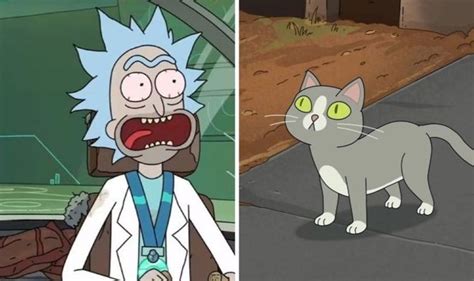 rick and morty sprechende katze|Rick and Morty — Talking Cats true meaning finally revealed